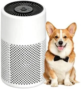 CHIVALZ Purificatore Aria HEPA Modello 2588, Bianco, 1 Pezzo — Umidificatore